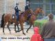 2007 05 06 Draveil077 .jpg